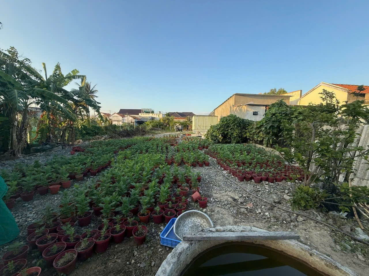 Đất Biển Dốc Lết, gần làng chài Ninh Thuỷ, thuộc TDP Mỹ Lương, Phường đông Ninh Hoà. Khánh Hoà. 15981900