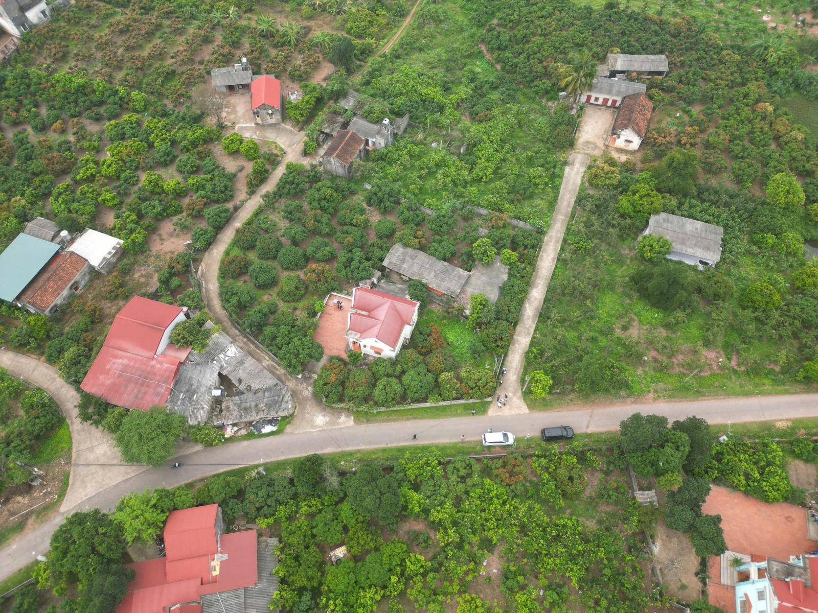 KHU ĐẤT TDP GIÀNH MỚI, PHƯỜNG PHƯỢNG SƠN 15981911