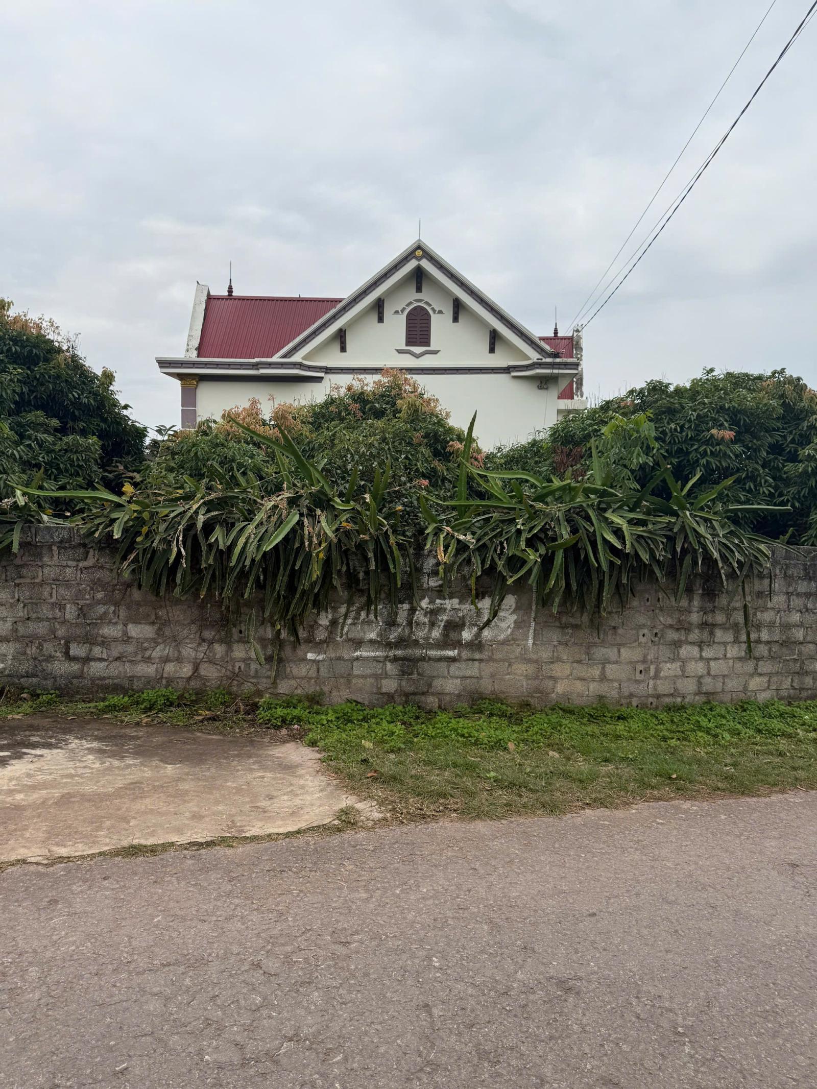 KHU ĐẤT TDP GIÀNH MỚI, PHƯỜNG PHƯỢNG SƠN 15981911