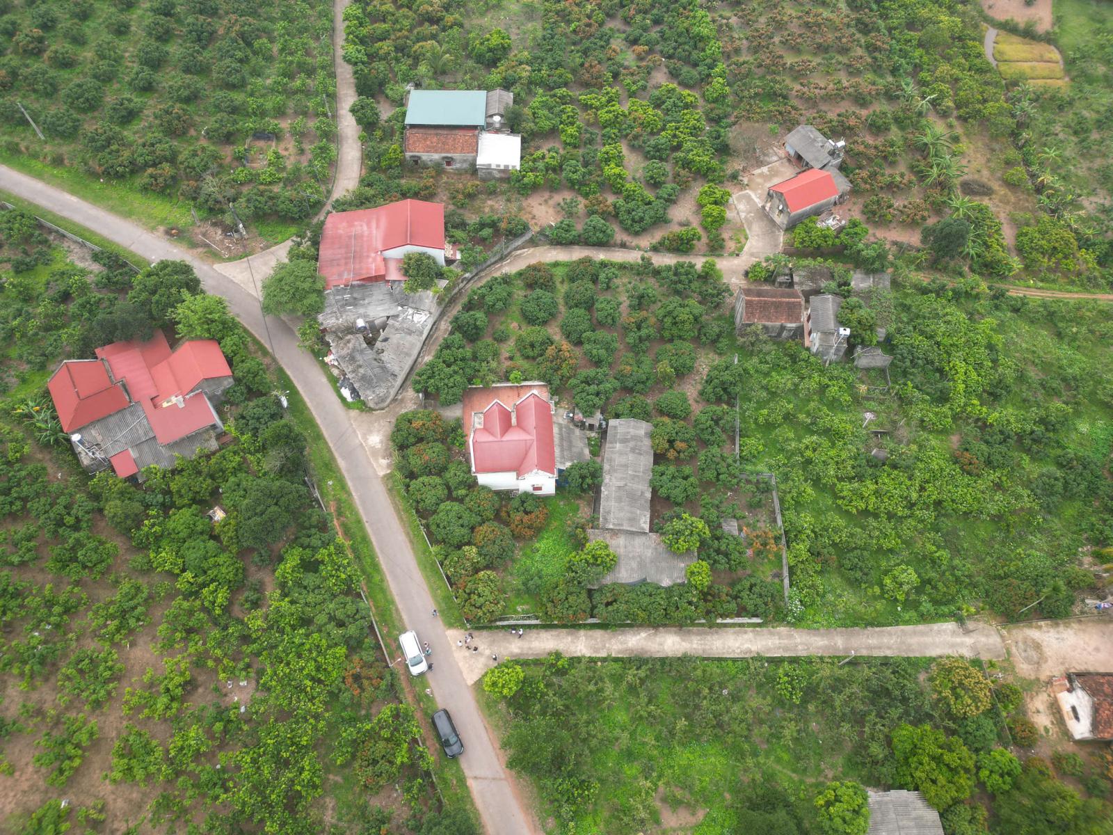 KHU ĐẤT TDP GIÀNH MỚI, PHƯỜNG PHƯỢNG SƠN 15981911