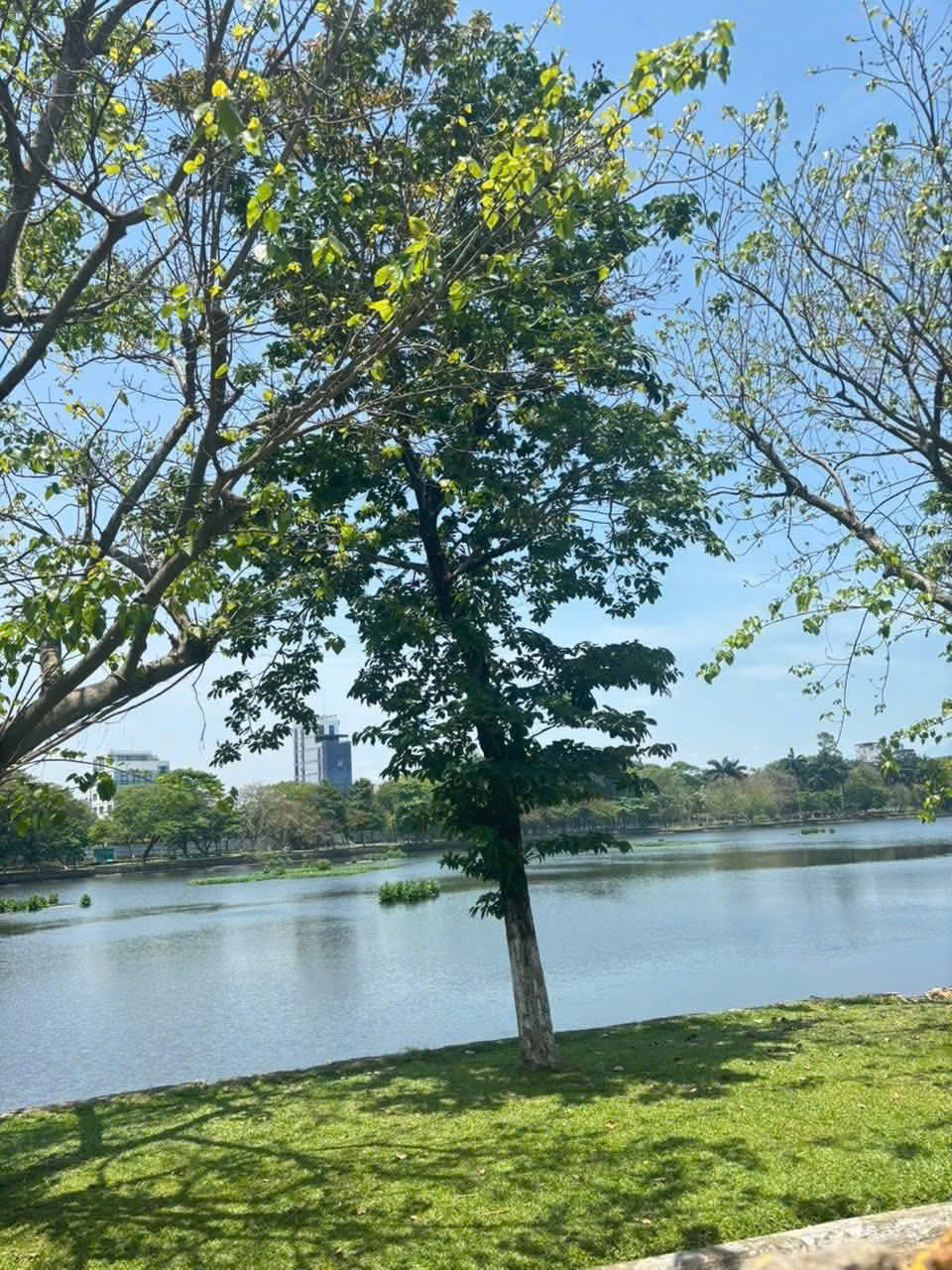 ♪ Lô Góc Kiệt Phan Thanh View Công Viên, 40m2, 2 tầng đúc cứng, giá mềm 3.69 tỷ 15981935