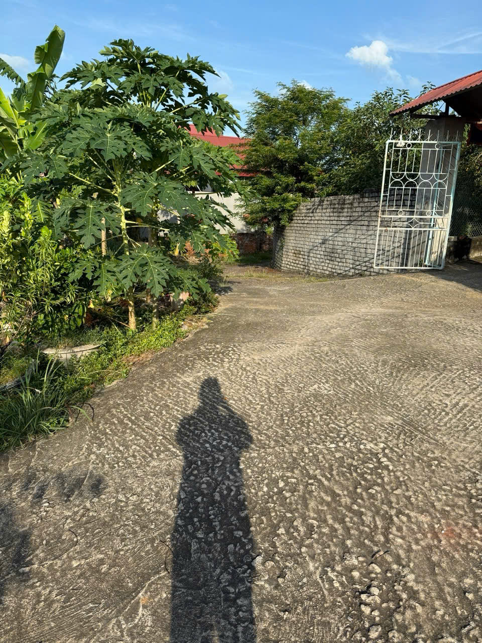 Bán Đất 107m2- Lô góc hai mặt tiền Tại Đồng việt, Yên Dũng, Bắc Giang. Giá chỉ 680tr 15981938