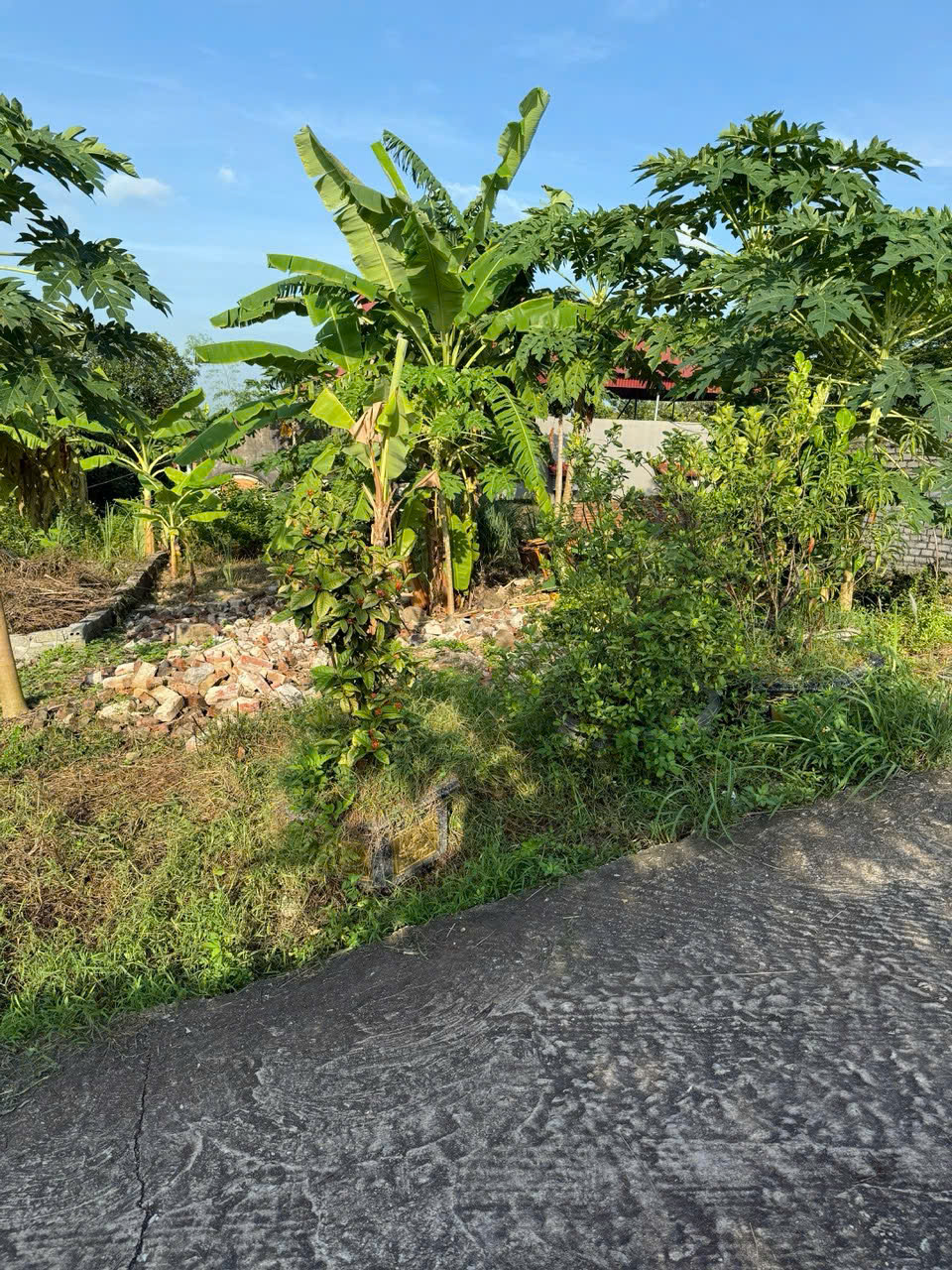 Bán Đất 107m2- Lô góc hai mặt tiền Tại Đồng việt, Yên Dũng, Bắc Giang. Giá chỉ 680tr 15981938