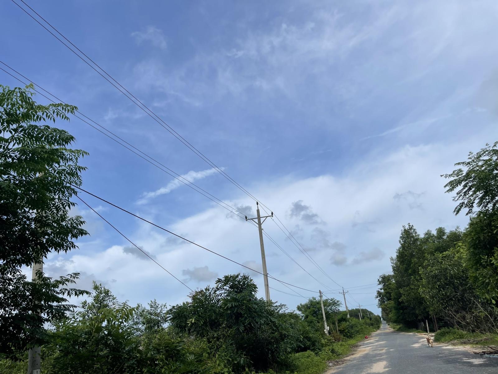 Bán 4987m2 đất mặt tiền Lý Nam Đế, Tân Phước, LaGi giá ngộp 3.6 tỷ 15981947