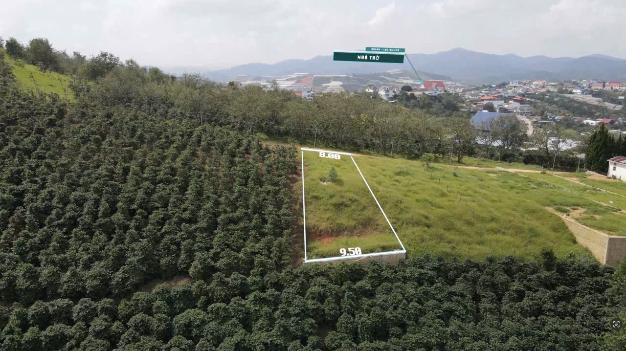 Nằm gần ngay trung tâm xã Đạ Sar, cách trung tâm thành phố Đà Lạt 25 phút di chuyển, cách Quốc Lộ 15981989