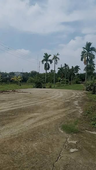 Bán đất mặt đường 6400m2 giá 60 tỷ Đường Xuân Thới Sơn 15982156