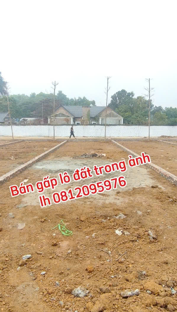 Cắt lỗ mảnh đất đắc địa gần Hòa Lạc, xây CCMN lợi nhuận cao 15982187