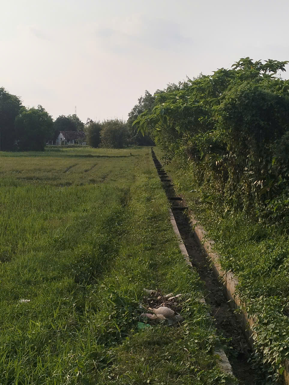 BÁN MIẾNG ĐẤT 5.074M2 - 2 MẶT TIỀN – 5.074M² – CHỈ 17 TỶ TẠI TÂN AN HỘI 15982304