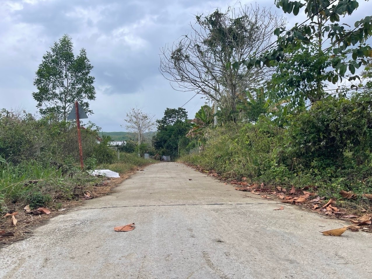 đất mặt tiền lê duẩn khánh vĩnh – tiềm năng đầu tư – 850 triệu 15982323