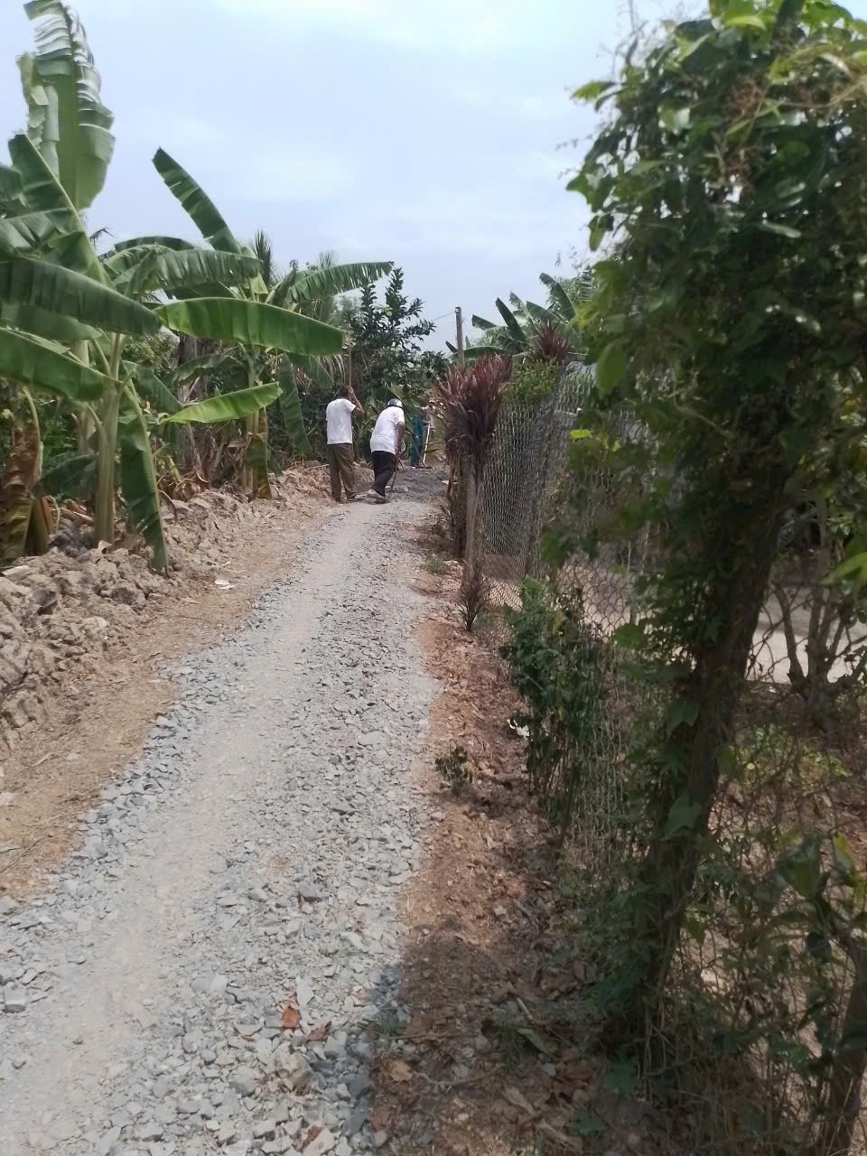 ĐẤT ĐẸP – GIÁ TỐT  – CHÍNH CHỦ CẦN BÁN GẤP tại xã Phú Long, huyện Châu Thành, tỉnh Đồng Tháp 15982327