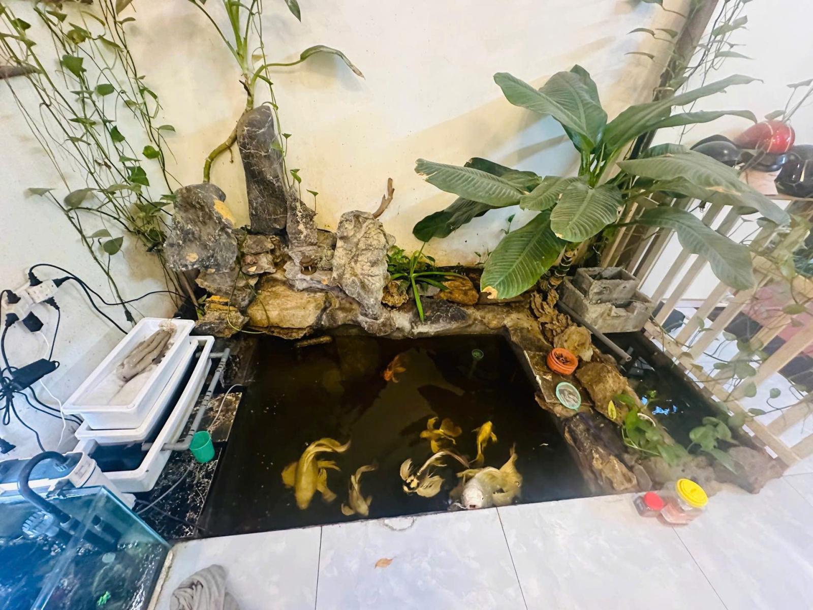 🏡 CHÍNH CHỦ GỬI BÁN NHÀ HOÀI ĐỨC – 49M2 – 5.85 TỶ 15982391