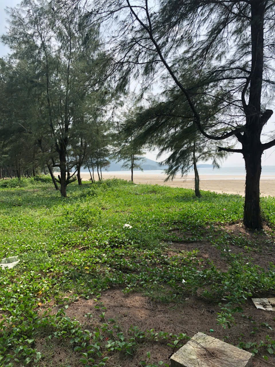 ĐẤT ĐẸP – GIÁ TỐT CHÍNH CHỦ BÁN GẤP Tại Xã Ngọc Vừng, Huyện Vân Đồn, Quảng Ninh 15982407