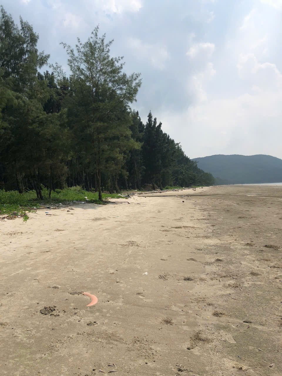 ĐẤT ĐẸP – GIÁ TỐT CHÍNH CHỦ BÁN GẤP Tại Xã Ngọc Vừng, Huyện Vân Đồn, Quảng Ninh 15982407