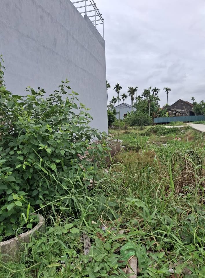 CẦN BÁN ĐẤT MẶT ĐƯỜNG HÀNG TỔNG – HẢI AN, HẢI PHÒNG  VỊ TRÍ KINH DOANH ĐẸP 15982435