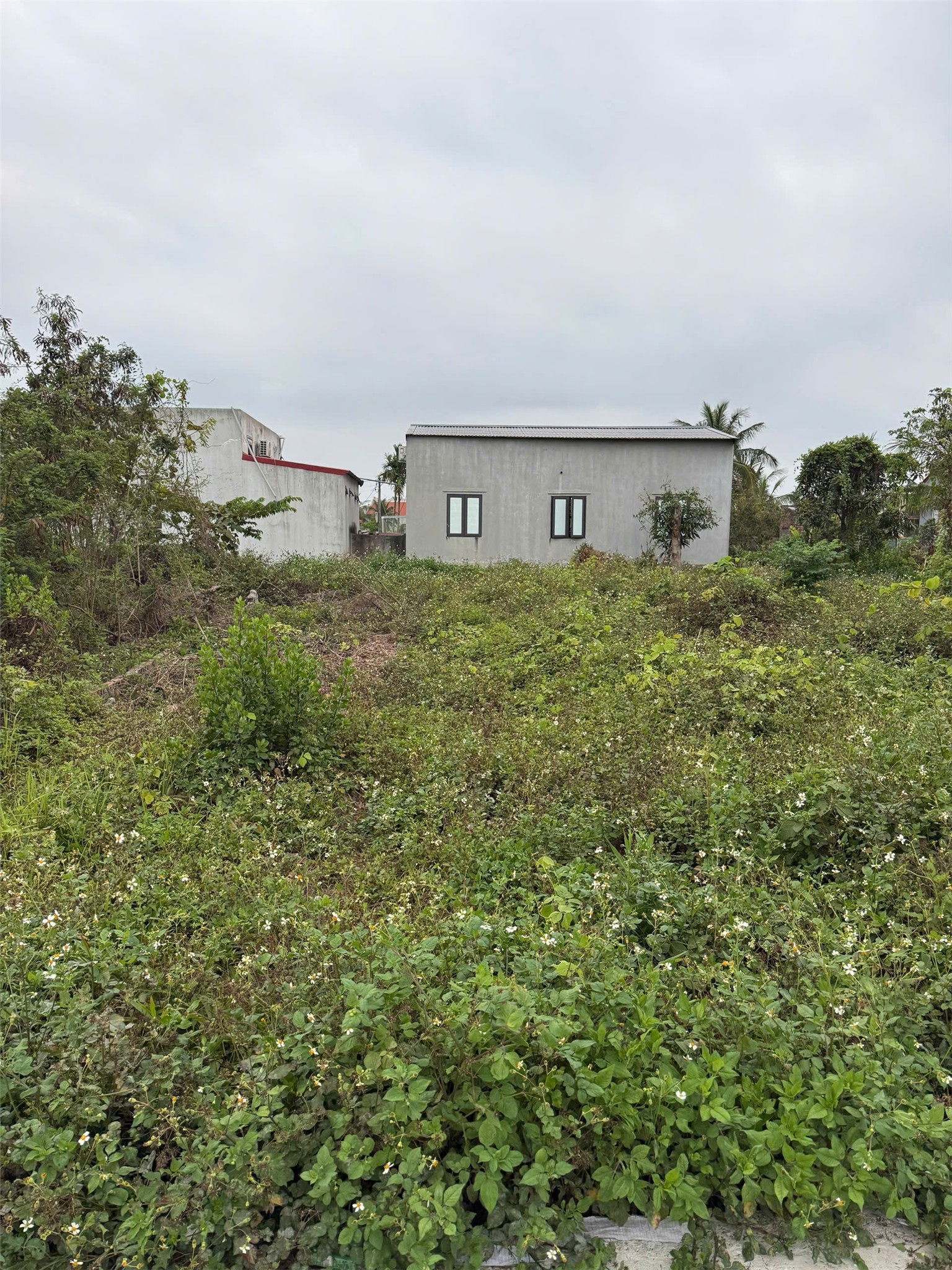 Lô đất nở hậu TDP Đồng Phong ,Minh Đức, Đồ Sơn - ZALO 0567 222 555 15982564