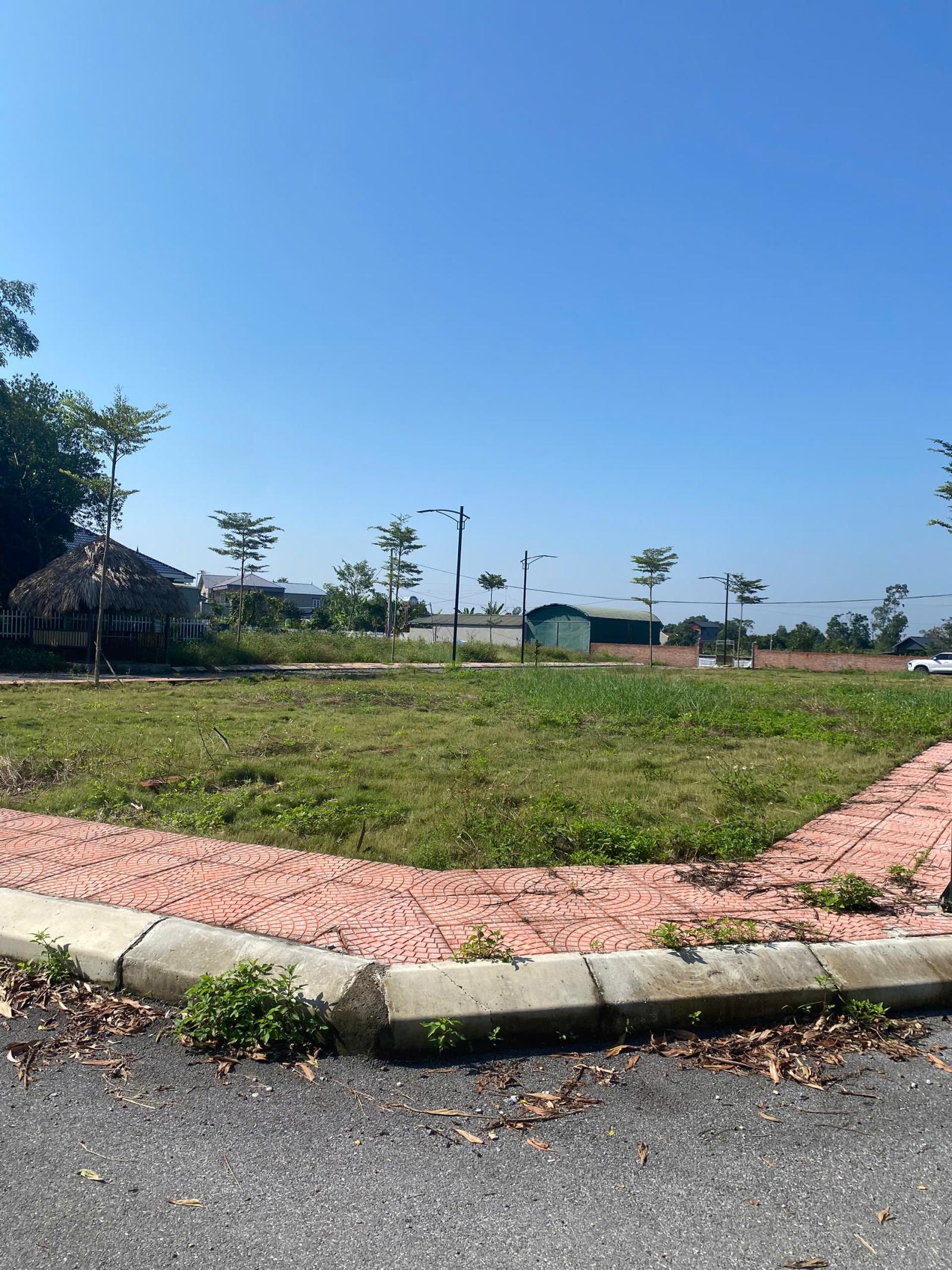 [SIÊU PHẨM SÓC SƠN] - 144m2 Đất Full Thổ Cư - Mặt Tiền Khủng - Giá Cực Tốt chỉ hơn 3 Tỷ
 15982572