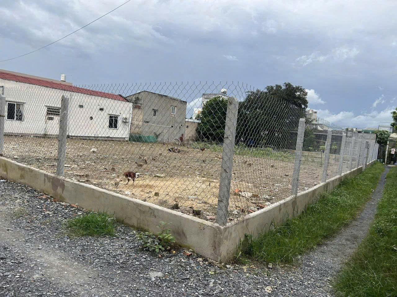 ĐẤT LÔ GÓC 2 MẶT TIỀN – SÁT PHAN VĂN HỚN – QUY HOẠCH DÂN CƯ MỚI 15982577