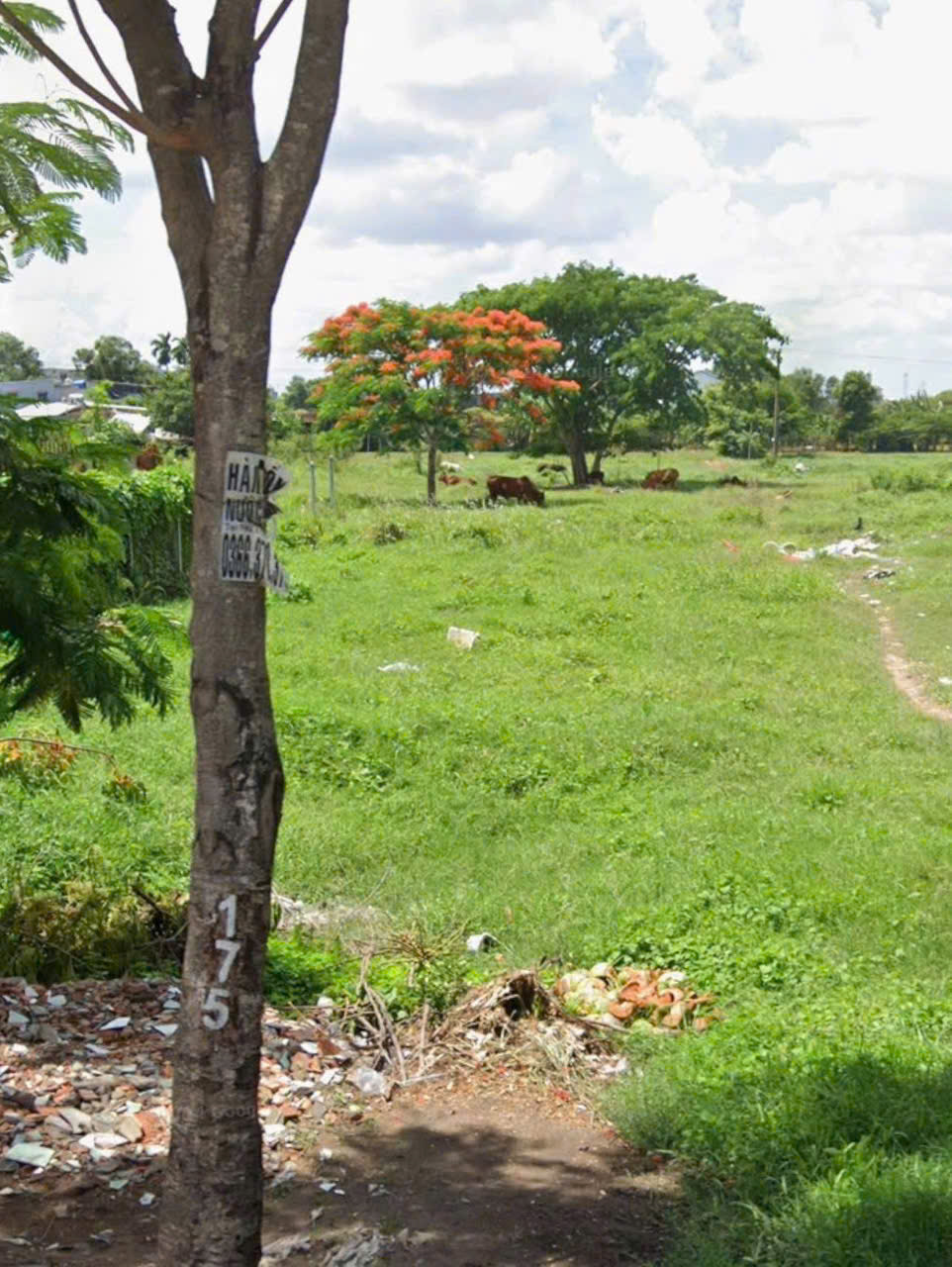 MẶT TIỀN BÀ ĐIỂM 4 – ĐỐI DIỆN TRƯỜNG – QUY HOẠCH MỞ RỘNG 30M 15982651