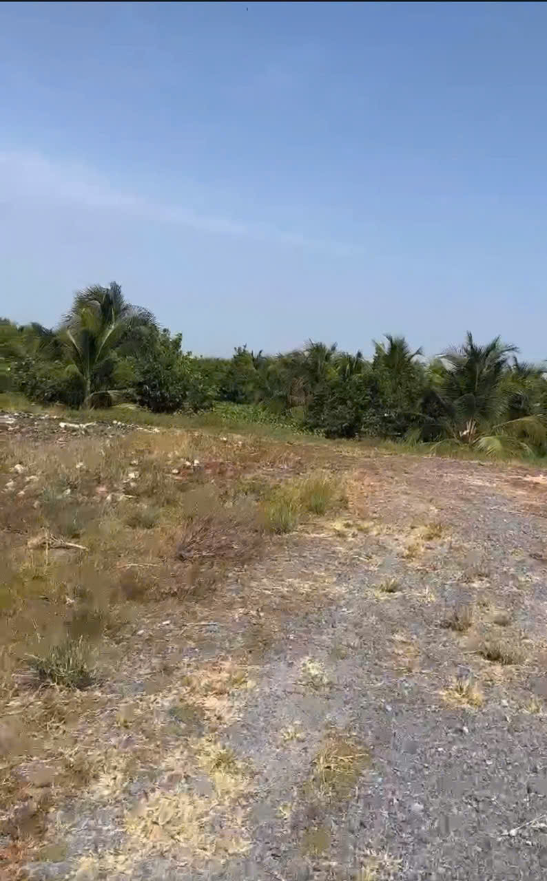 CHÍNH CHỦ Cần Bán 12.000m2 Đất Lúa - 2 MẶT TIỀN Châu Thị Kim, An Vĩnh Ngãi, TP Tân An 15982658