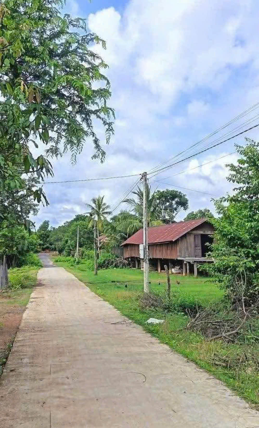 CẦN BÁN LÔ ĐẤT ĐẸP - GIÁ TỐT - Vị Trí Đắc Địa Tại Thôn Buôn Đôn, Đak lak 15982676