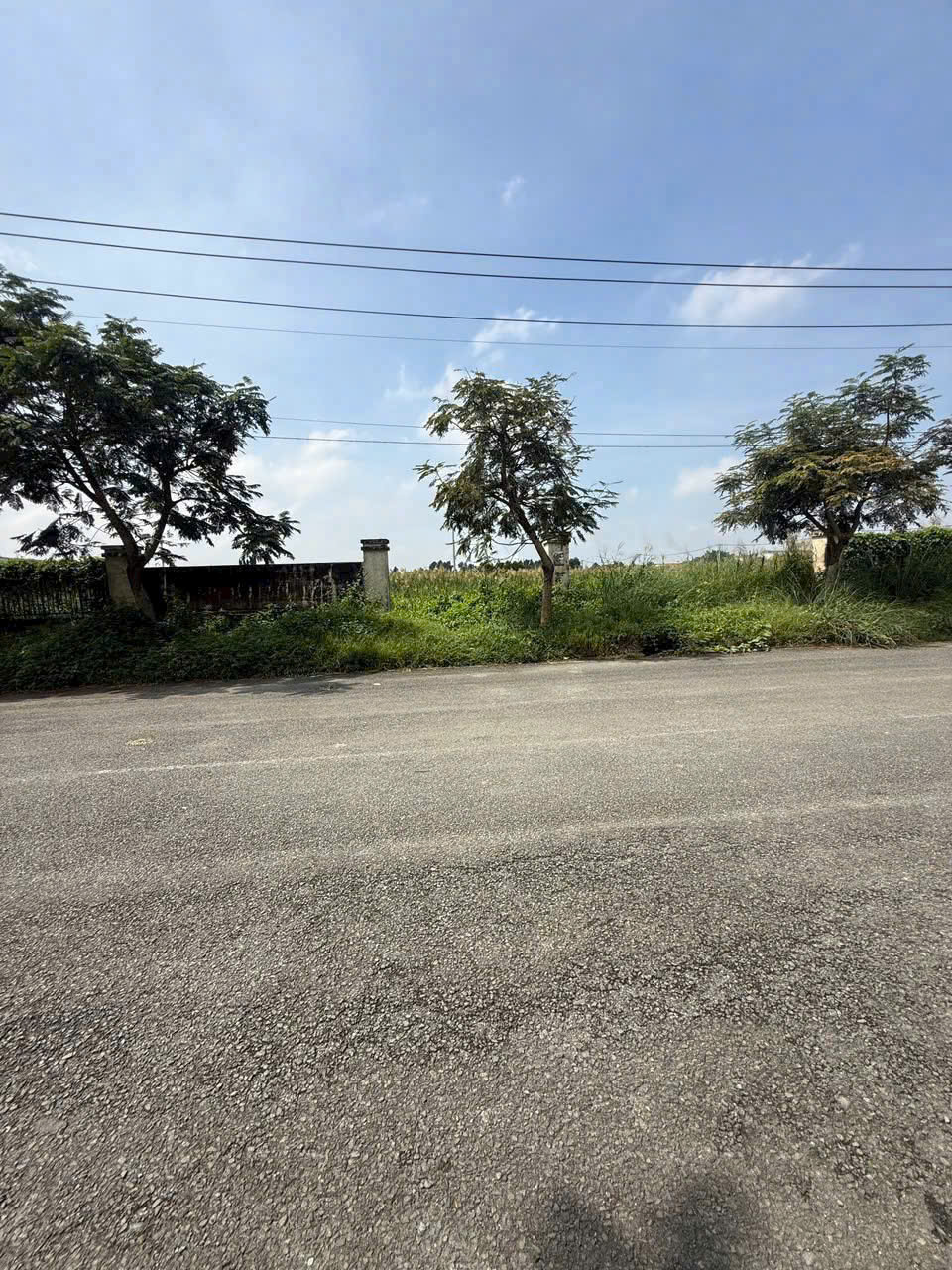 ĐẤT SKC 7.000M² – ĐƯỜNG CONTAINER – XÂY XƯỞNG NGAY TẠI HÓC MÔN 15982683