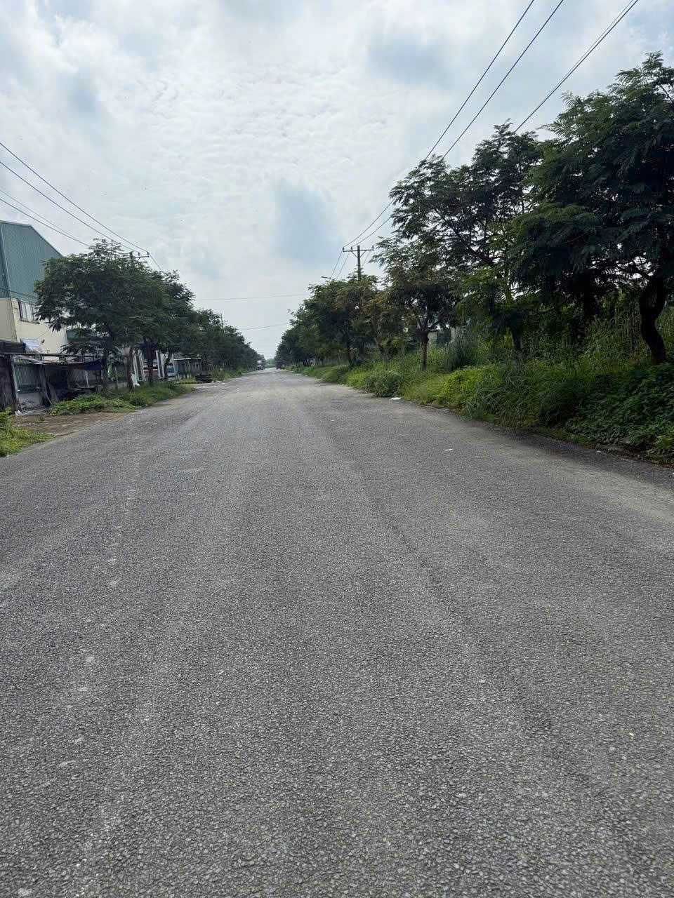 ĐẤT SKC 7.000M² – ĐƯỜNG CONTAINER – XÂY XƯỞNG NGAY TẠI HÓC MÔN 15982683