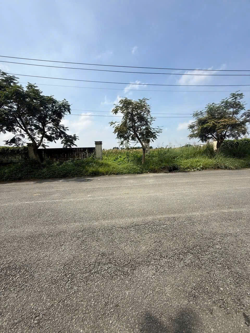 ĐẤT SKC 7.000M² – ĐƯỜNG CONTAINER – XÂY XƯỞNG NGAY TẠI HÓC MÔN 15982683