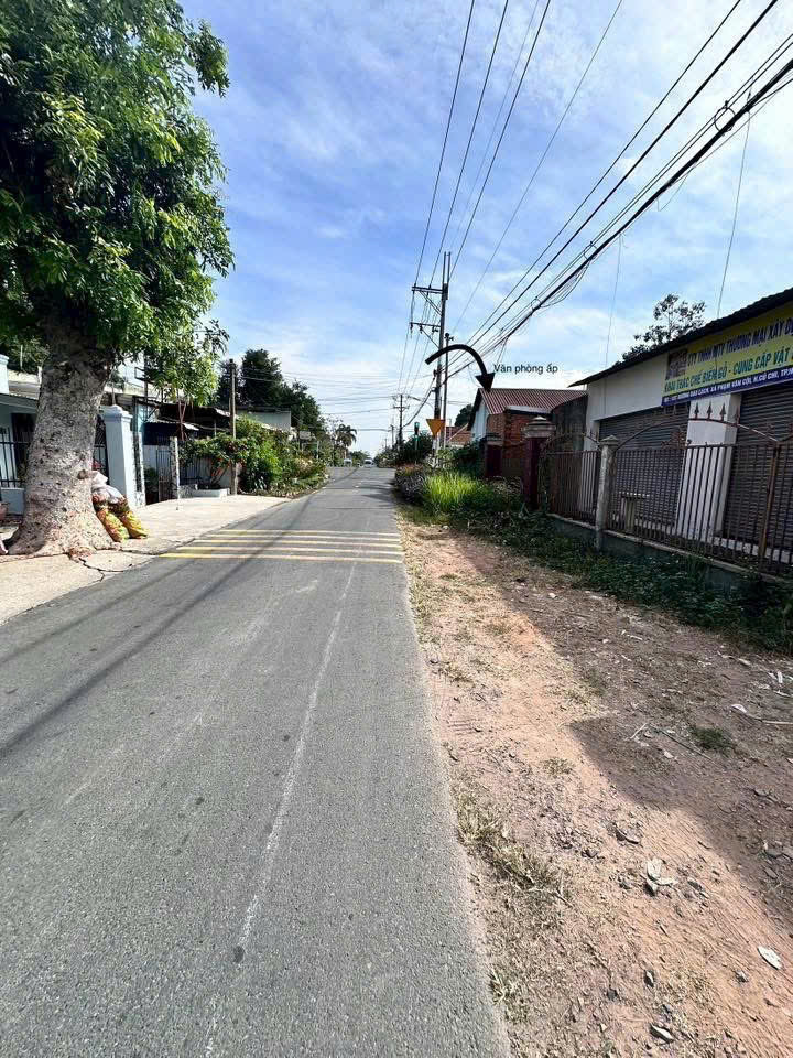 NHÀ XƯỞNG (25x53) MẶT TIỀN BÀU LÁCH – 1.310m² – XÂY DỰNG FULL – GIÁ CHỈ 13 TỶ 15982721