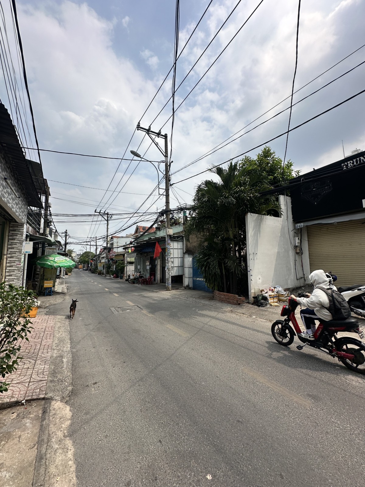 MẶT TIỀN KD—ĐÔNG HƯNG THUẬN NGAY NGUYỄN VĂN QUÁ,
TRƯỜNG CHINH—TUYẾN METRO SỐ2—196m2(12x16.5m) 15982749