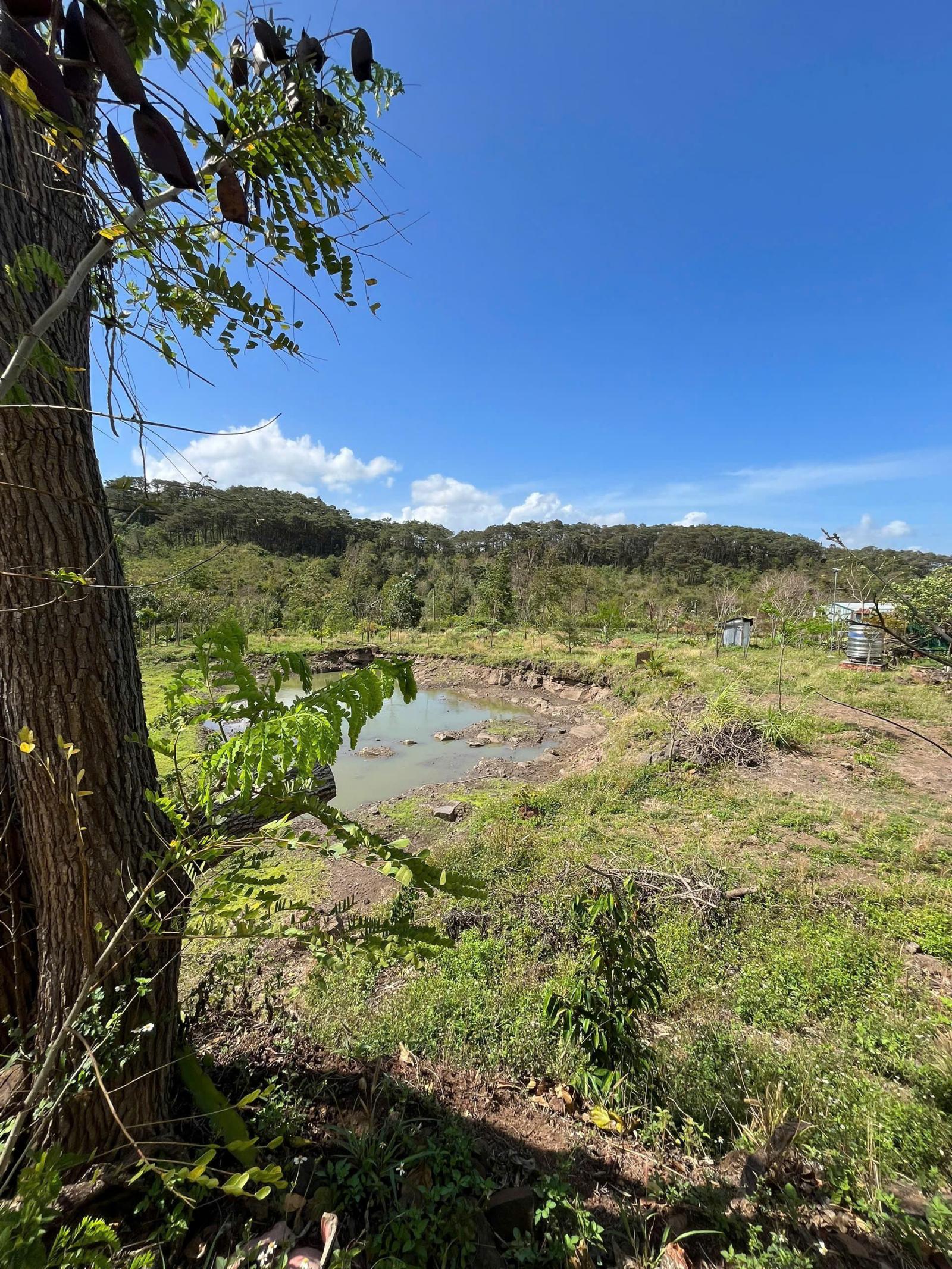 Cần bán hoặc cho thuê lô đất rộng 3 mặt tiền Tại Mai Thị Lựu, P Ea Tam, TpBuôn Ma Thuột, Đắk Lắk 15982802