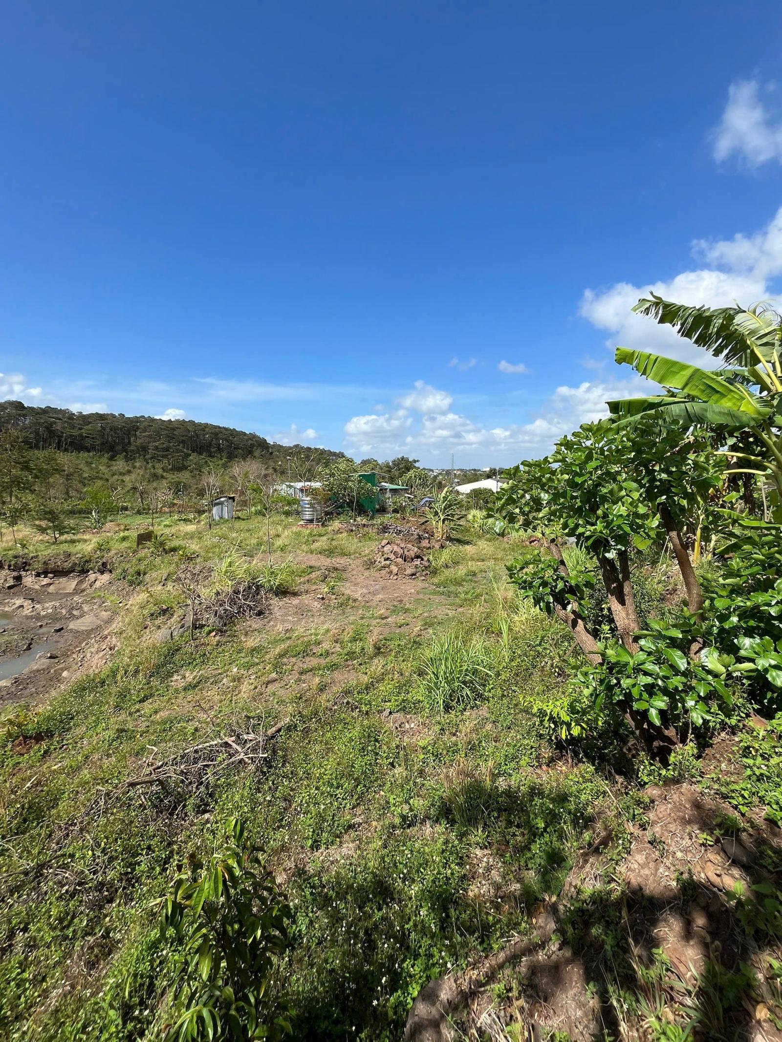 Cần bán hoặc cho thuê lô đất rộng 3 mặt tiền Tại Mai Thị Lựu, P Ea Tam, TpBuôn Ma Thuột, Đắk Lắk 15982802