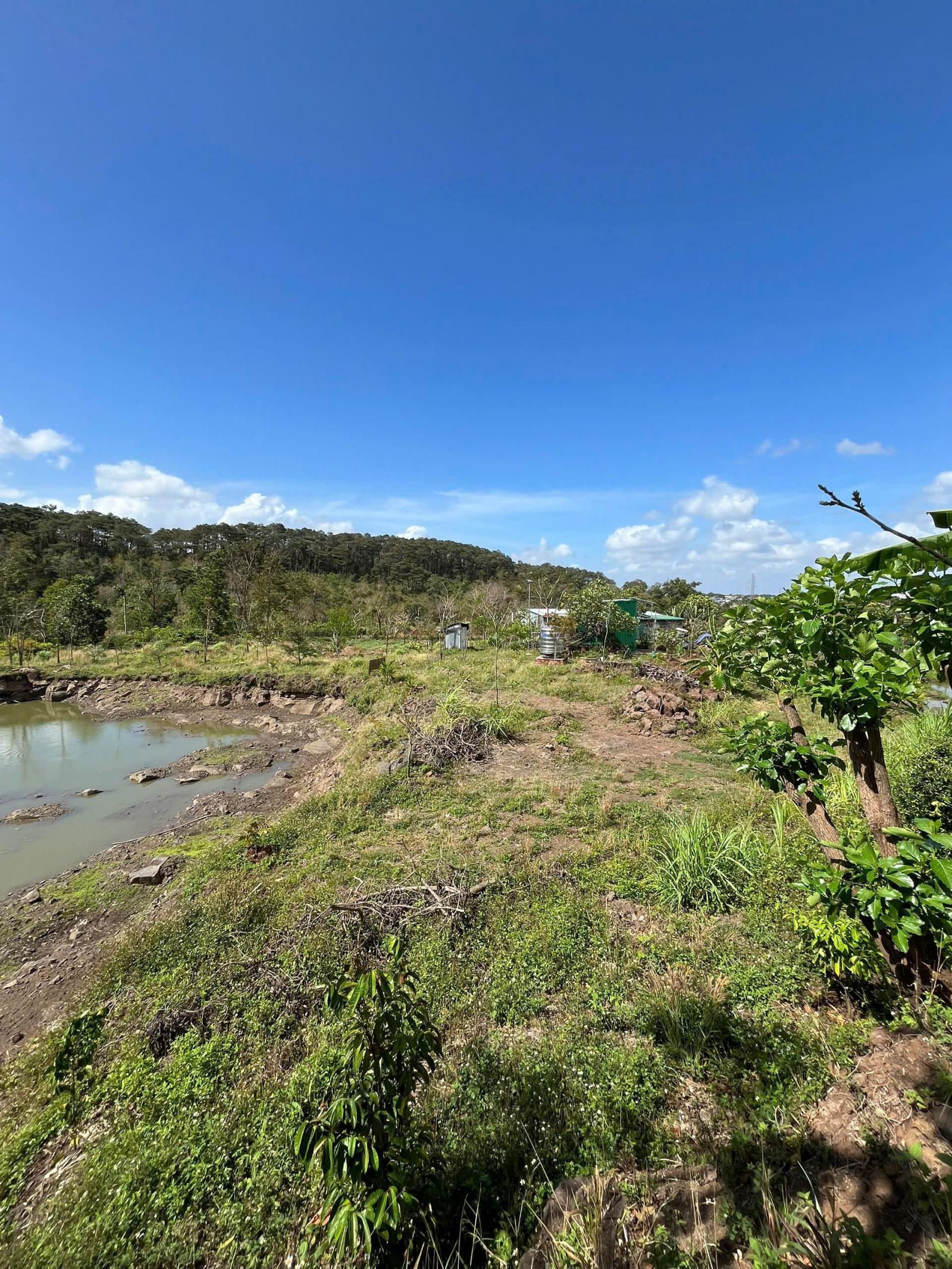 Cần bán hoặc cho thuê lô đất rộng 3 mặt tiền Tại Mai Thị Lựu, P Ea Tam, TpBuôn Ma Thuột, Đắk Lắk 15982802