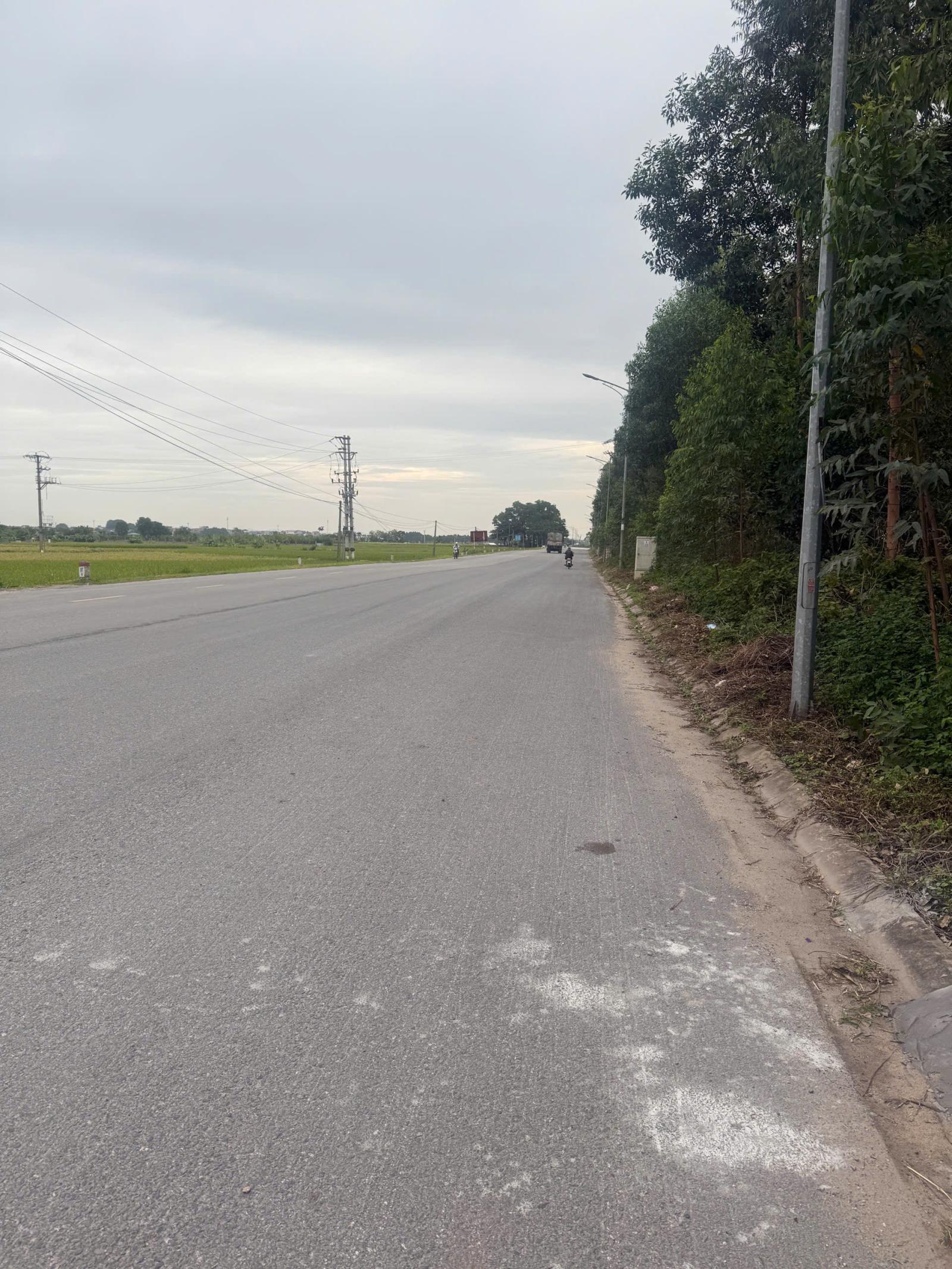 Bán đất đấu giá Xuân Phú, Yên Dũng, Bắc Giang: 90m2 - MT 5m. Đường 32m - giá 3,9 tỷ 15982833