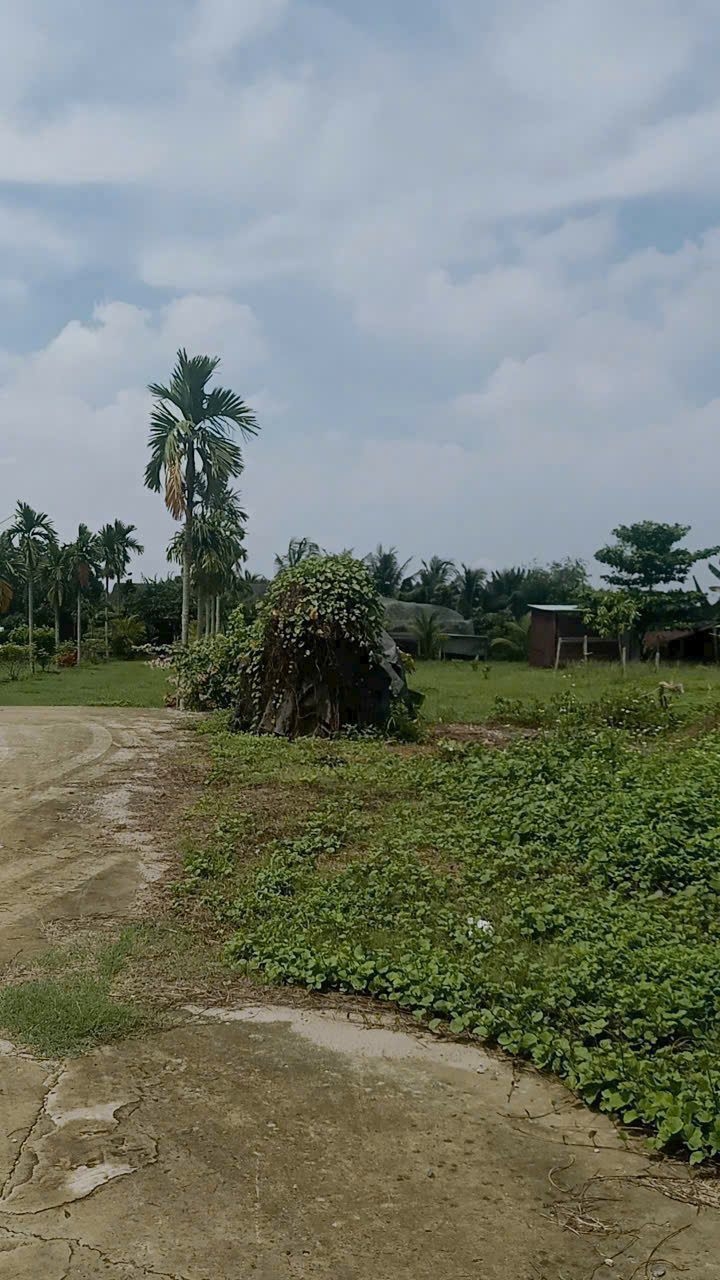 NHÀ VƯỜN 6.400M² – 1.350M² THỔ CƯ – ĐƯỜNG XE TẢI XUÂN THỚI SƠN, HÓC MÔN 15982923