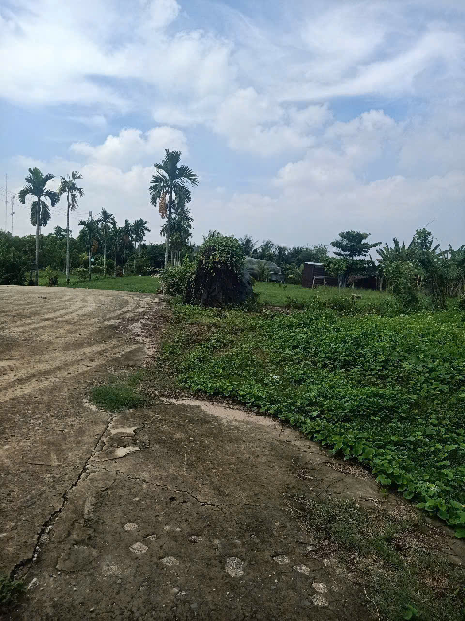 NHÀ VƯỜN 6.400M² – 1.350M² THỔ CƯ – ĐƯỜNG XE TẢI XUÂN THỚI SƠN, HÓC MÔN 15982923