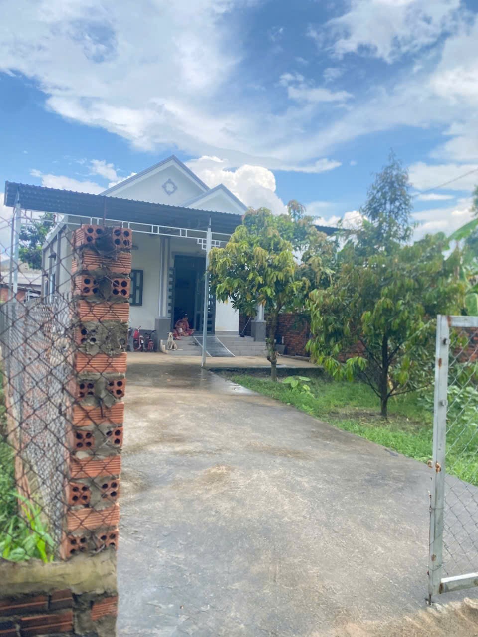 CẦN TIỀN BÁN GẤP NHÀ SỔ HỒNG RIÊNG – xã AN LINH, Huyện PHÚ GIÁO, BÌNH DƯƠNG ( xã An Long, HCM mới ) 15982925