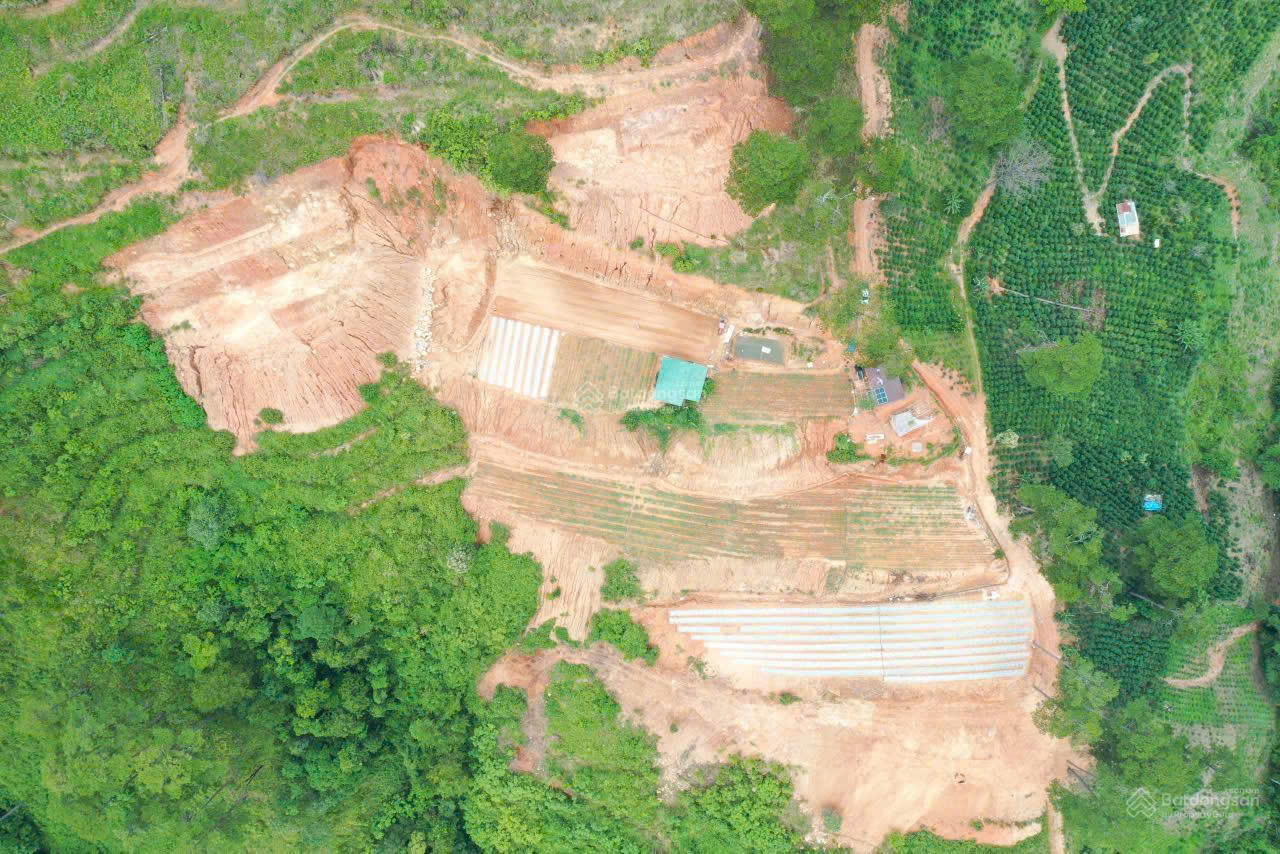 Bán đất tại xã Đạ Sar, Lạc Dương, Lâm Đồng, 400 triệu/1000m2 đẹp, nhiều tiện ích 15982947