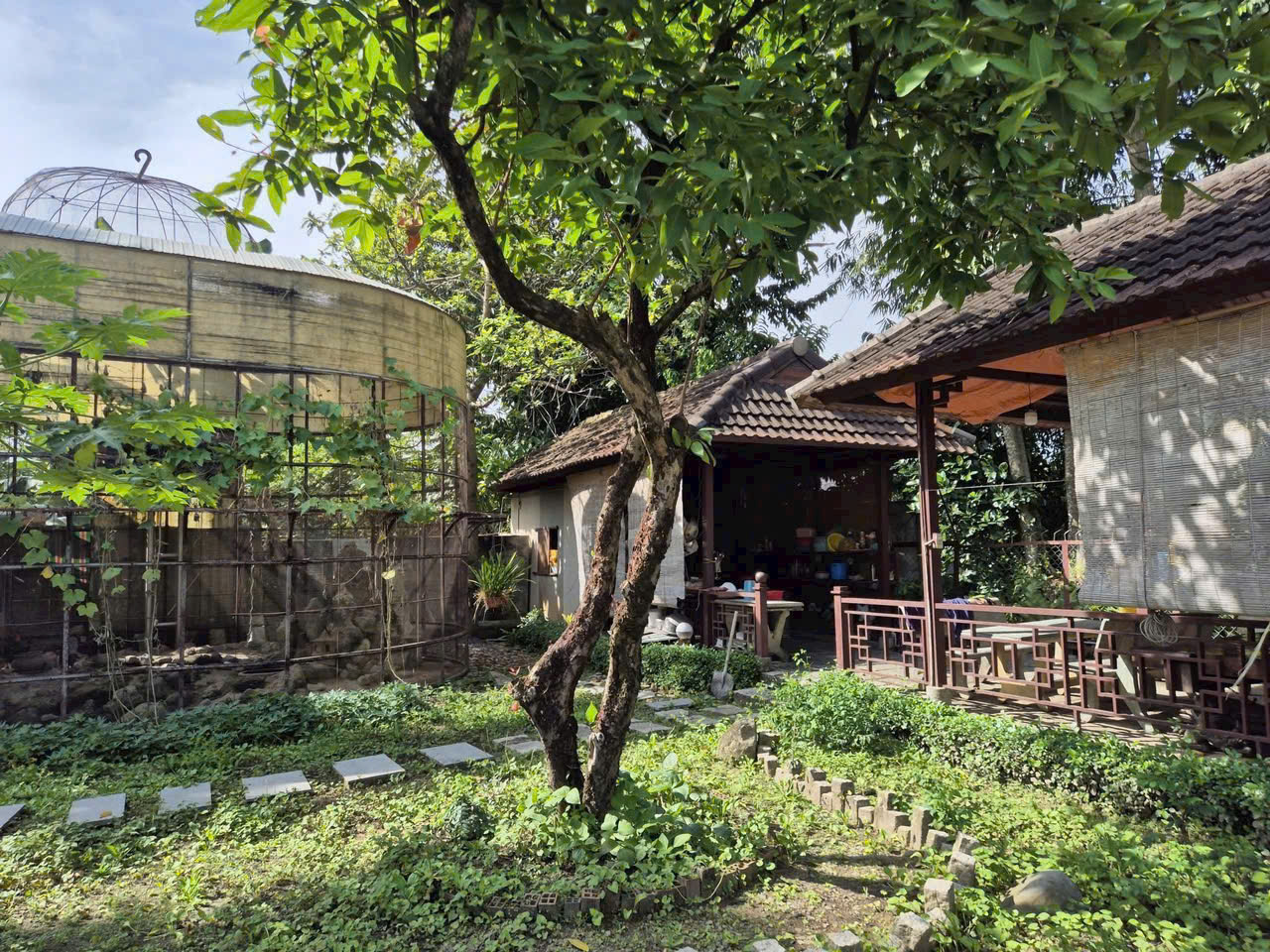 BIỆT THỰ NHÀ GỖ SÂN VƯỜN 1.930m² – LÔ GÓC 2MT – KHÔNG GIAN NGHỈ DƯỠNG HIẾM 15983074