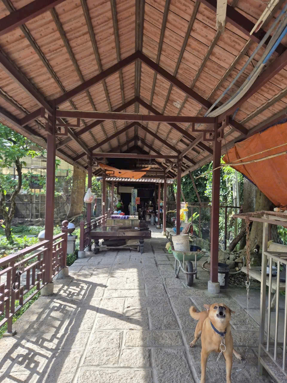 BIỆT THỰ NHÀ GỖ SÂN VƯỜN 1.930m² – LÔ GÓC 2MT – KHÔNG GIAN NGHỈ DƯỠNG HIẾM 15983076