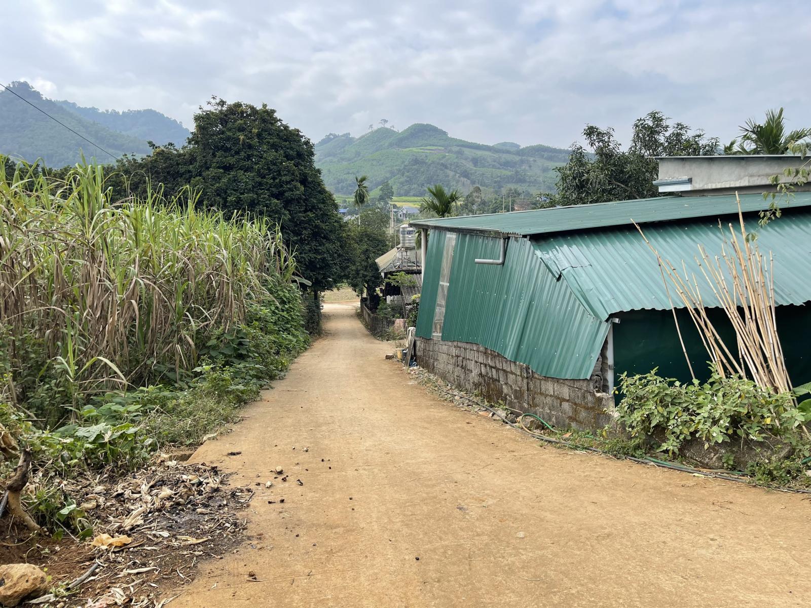 TÔI CHÍNH CHỦ BÁN LỖ LÔ ĐẤT TẠI CAO PHONG, HÒA BÌNH. 15983129