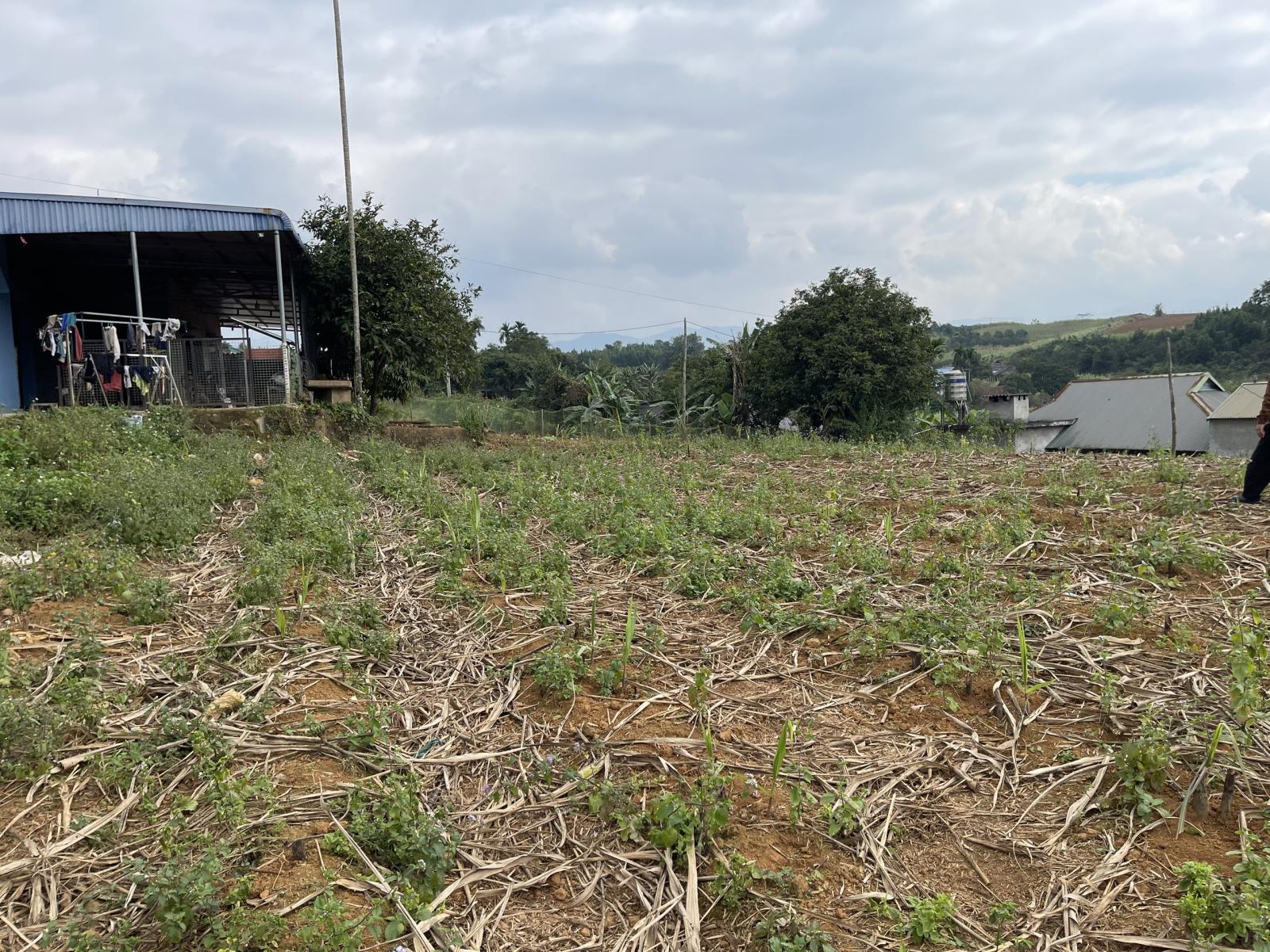 TÔI CHÍNH CHỦ BÁN LỖ LÔ ĐẤT TẠI CAO PHONG, HÒA BÌNH. 15983129