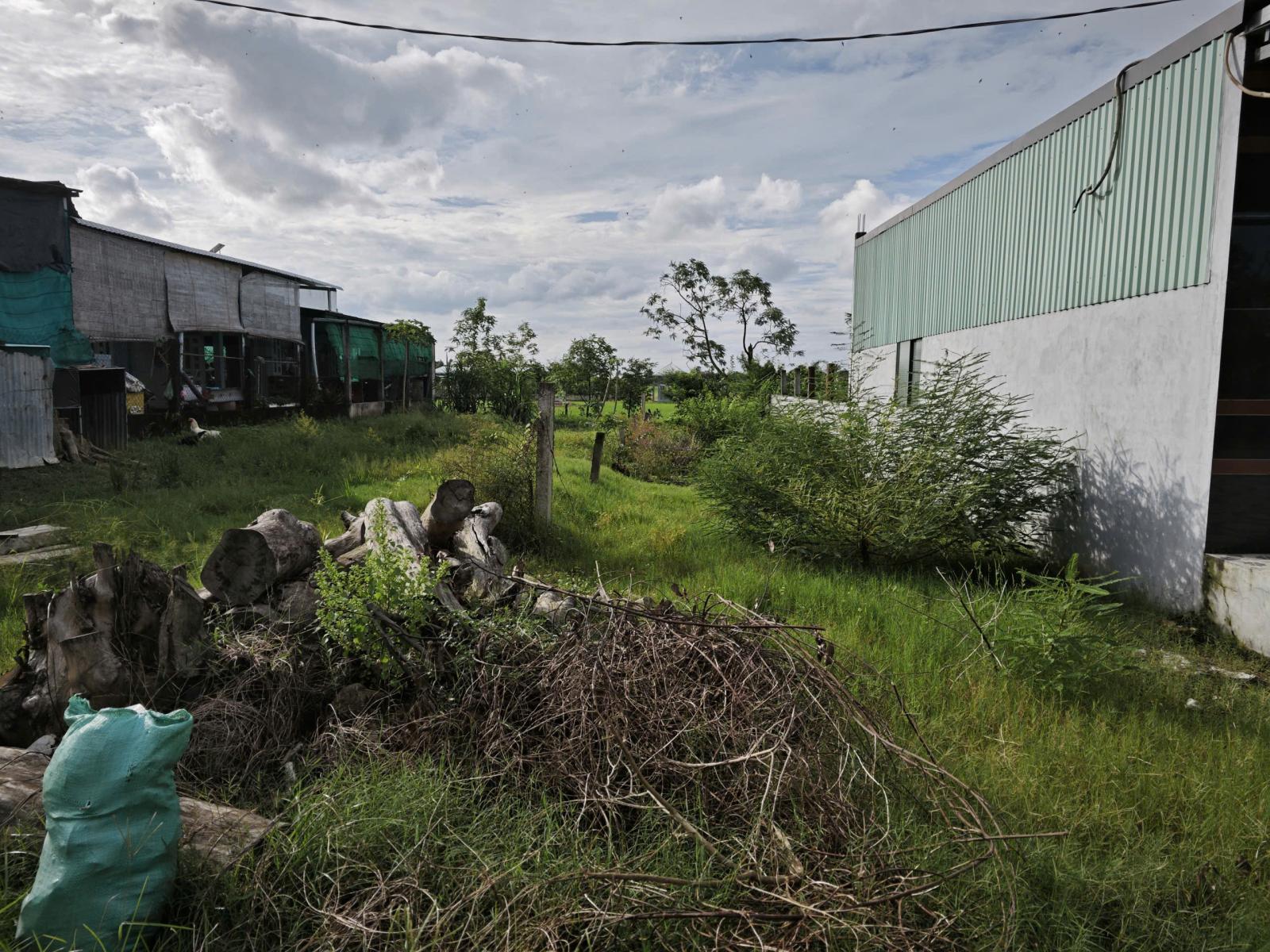 Bán đất xã Vàm Cỏ mặt tiền đường DH25 giá 1,5 tỷ 15983140