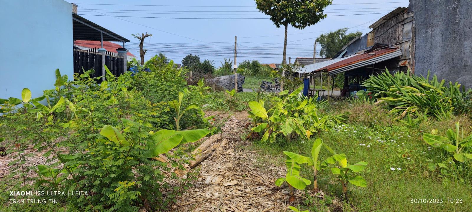 Bán lô đất thổ gần Quốc Lộ 50B giá 3,78 tỷ 15983141