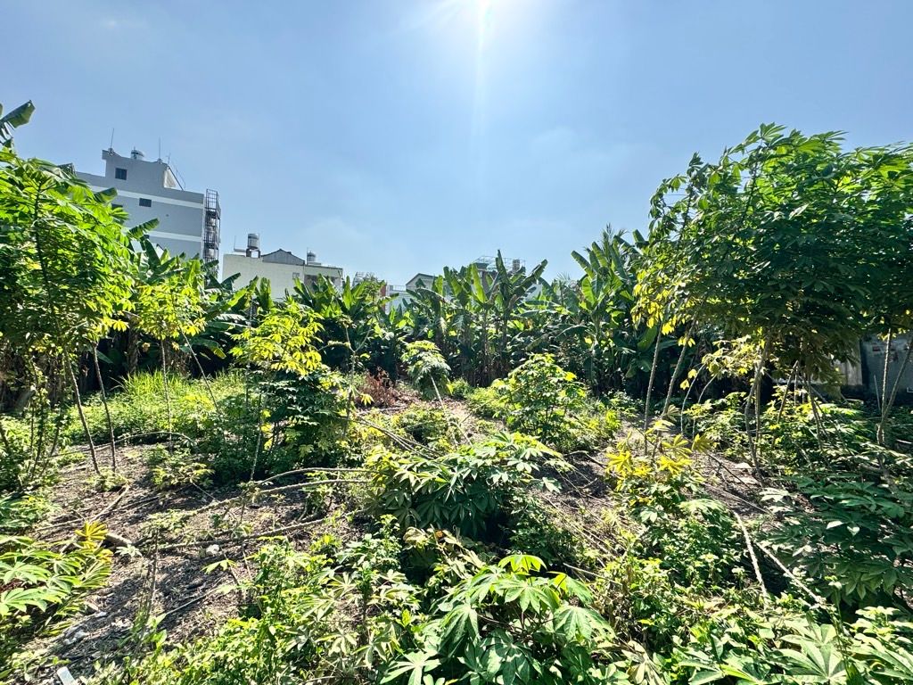 HXH- Huỳnh Thị Hai, Tân Chánh Hiệp, Q12: 1100m², 70 Tỷ, tiềm năng dòng tiền 15983182