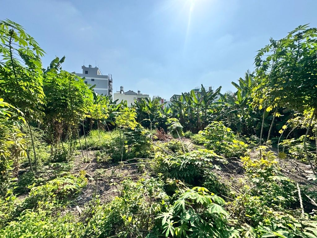 HXH- Huỳnh Thị Hai, Tân Chánh Hiệp, Q12: 1100m², 70 Tỷ, tiềm năng dòng tiền 15983182