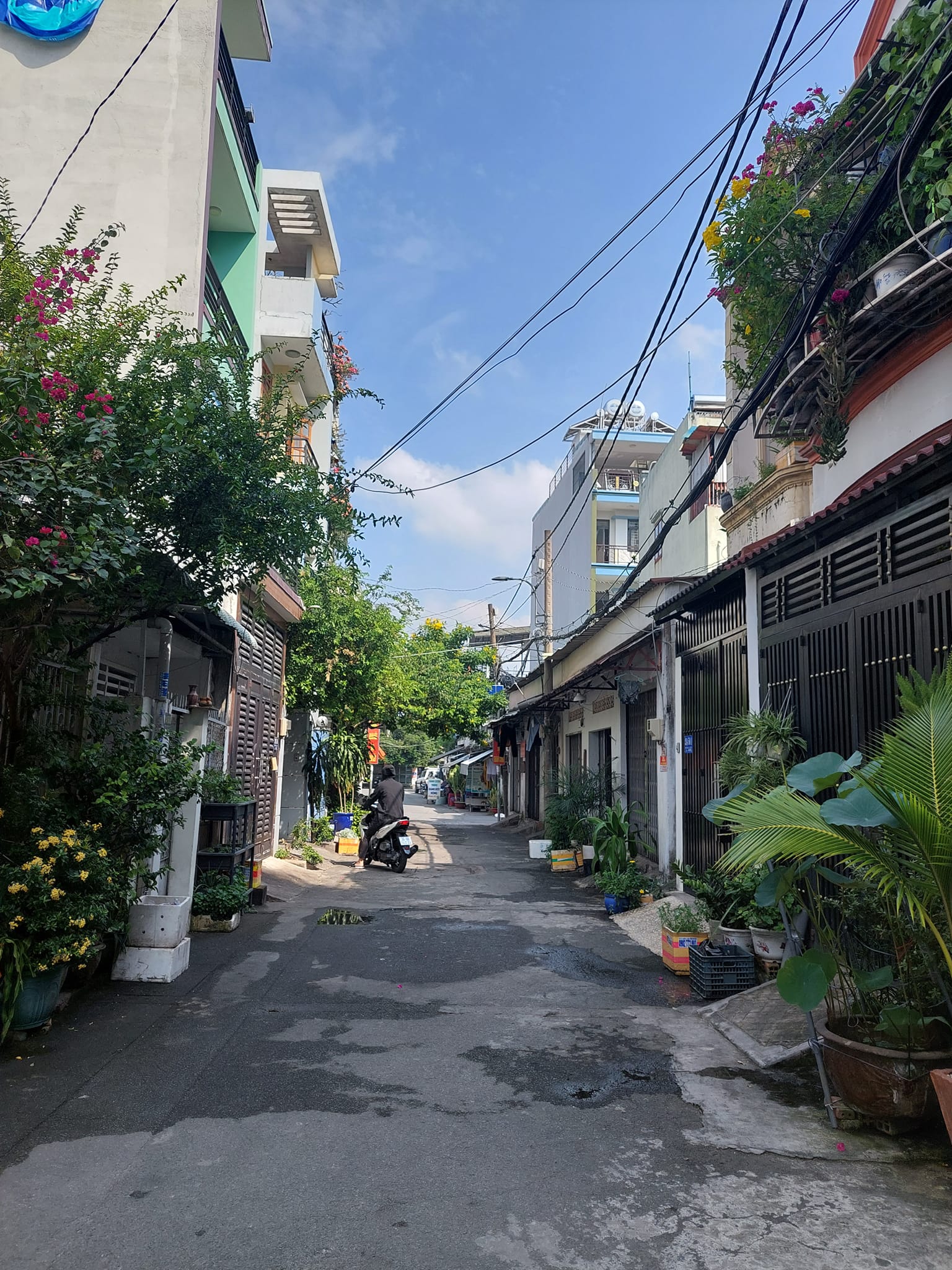 44m - Bùi Quang Là - HXH - 3.25 tỷ. 15983222