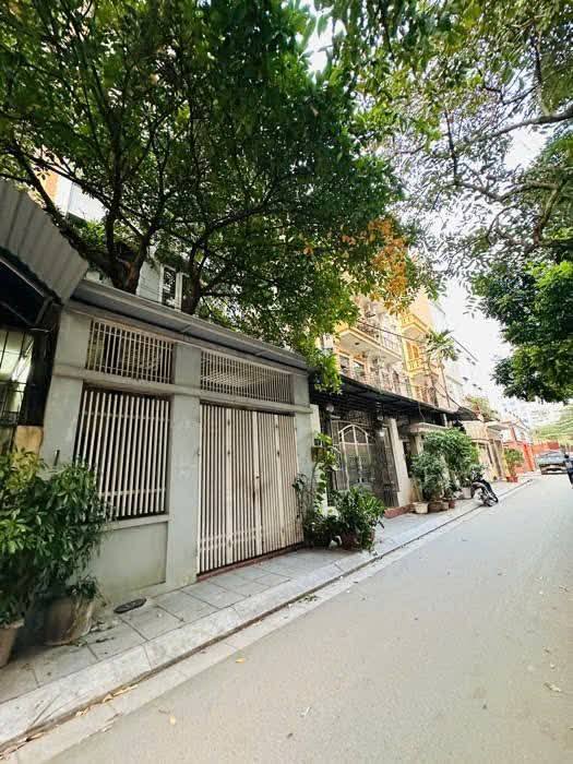 Bán nhà khu phân lô Hoàng Quốc Việt, Cầu Giấy, vỉa hè ô tô, 48m, mặt tiền 5.3m, 18.5 tỷ 15983277