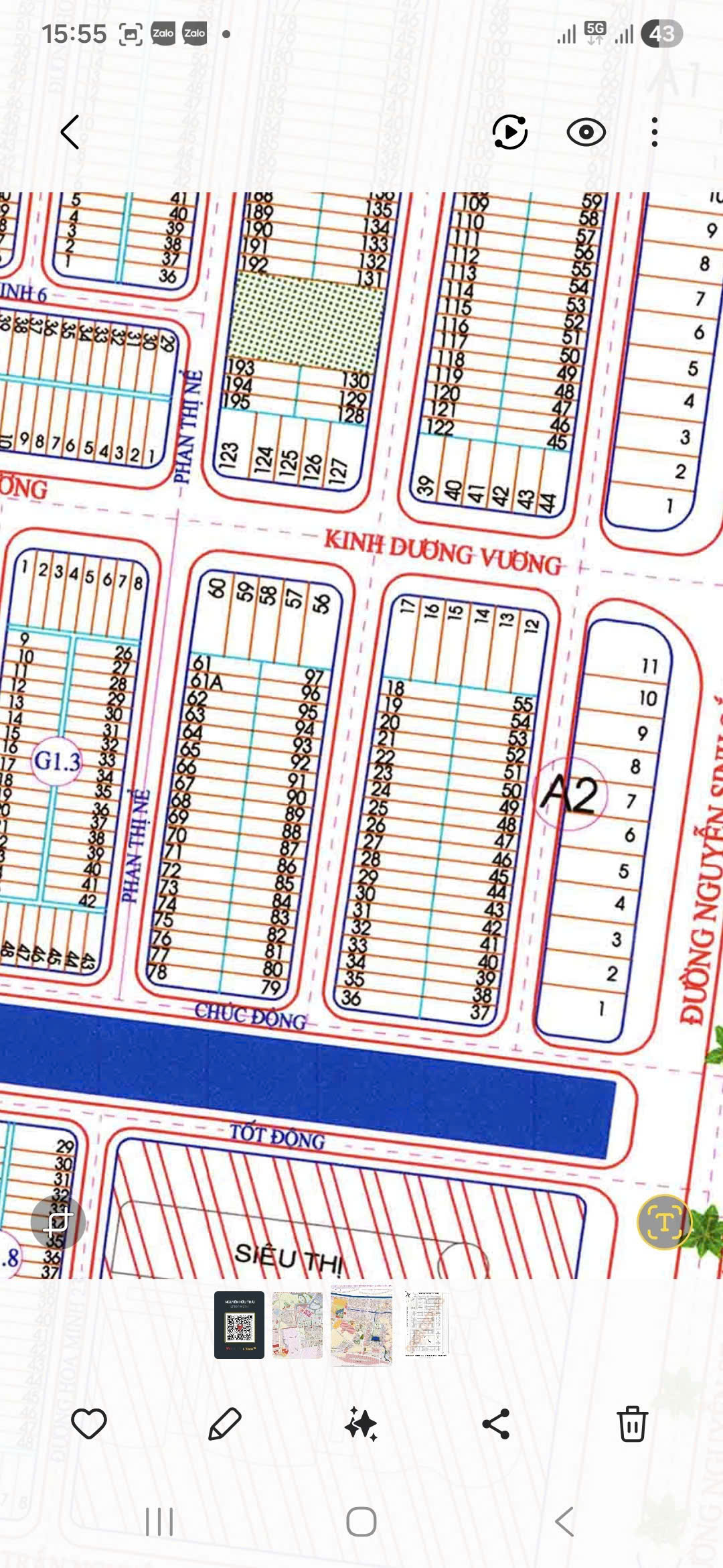 ❣️BÁN ĐẤT ĐƯỜNG TRẦN MINH TÔNG - Trục đường toàn biệt thự đẹp 15983316