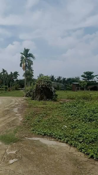 Bán đất mặt đường 6400m2 giá 60 tỷ Đường Xuân Thới Sơn 15983341