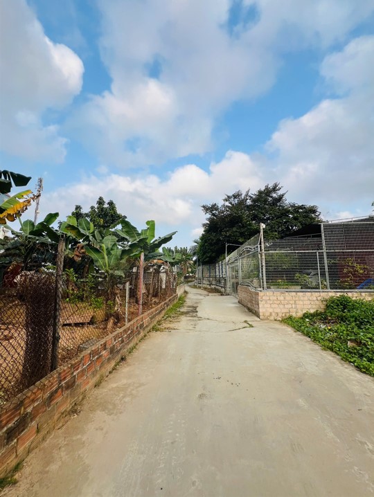 BÁN ĐẤT ĐẸP THIÊN HƯƠNG – THUỶ NGUYÊN – HẢI PHÒNG 15983354